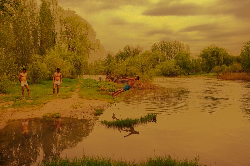 © OTE - Image from the The Wild Horses photography project