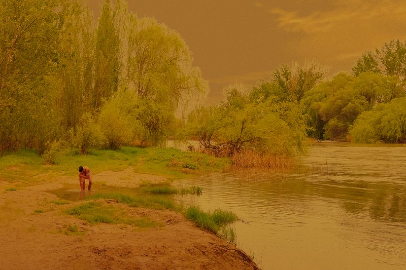 © OTE - Image from the The Wild Horses photography project