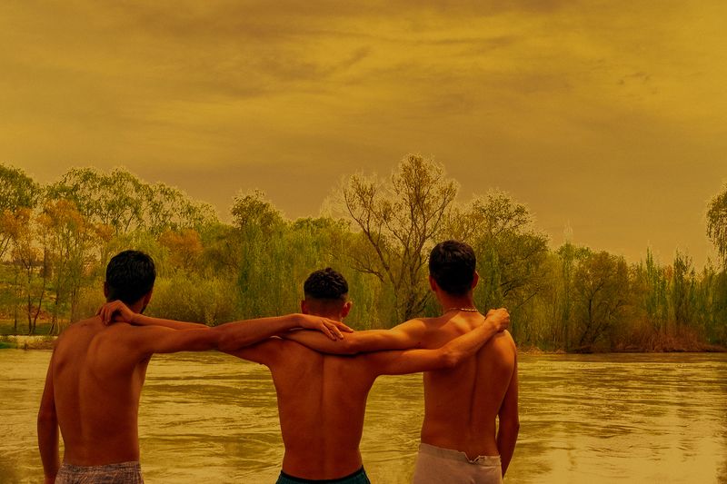 © OTE - Image from the The Wild Horses photography project