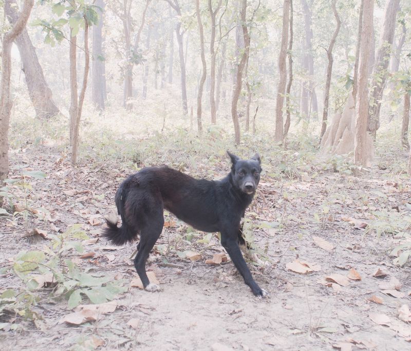 © Prasiit Sthapit - Image from the Change of Course photography project