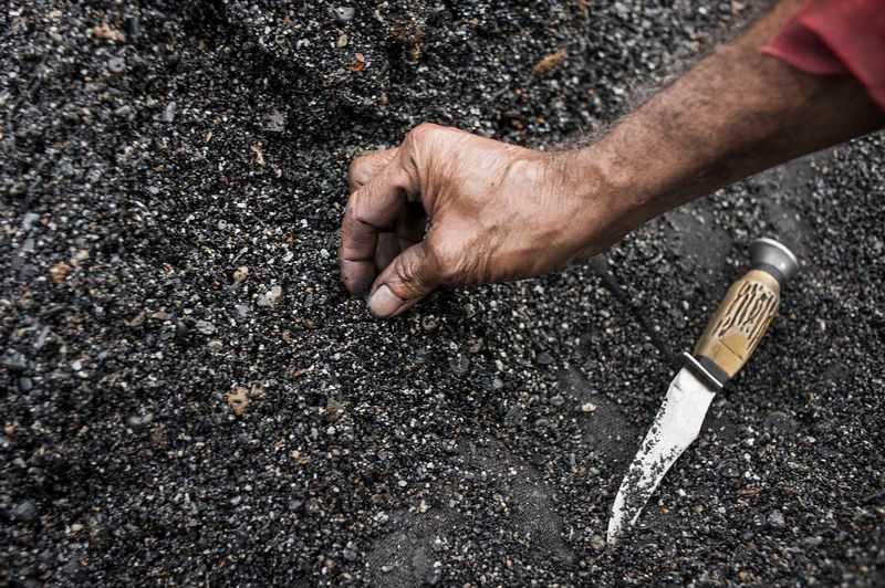 © Javier Corso - Image from the Tierra verde photography project