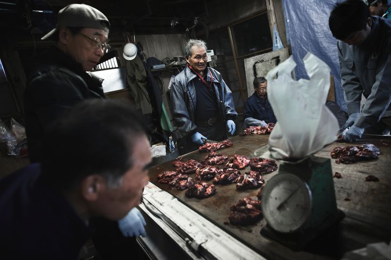 © Javier Corso - Image from the Matagi photography project