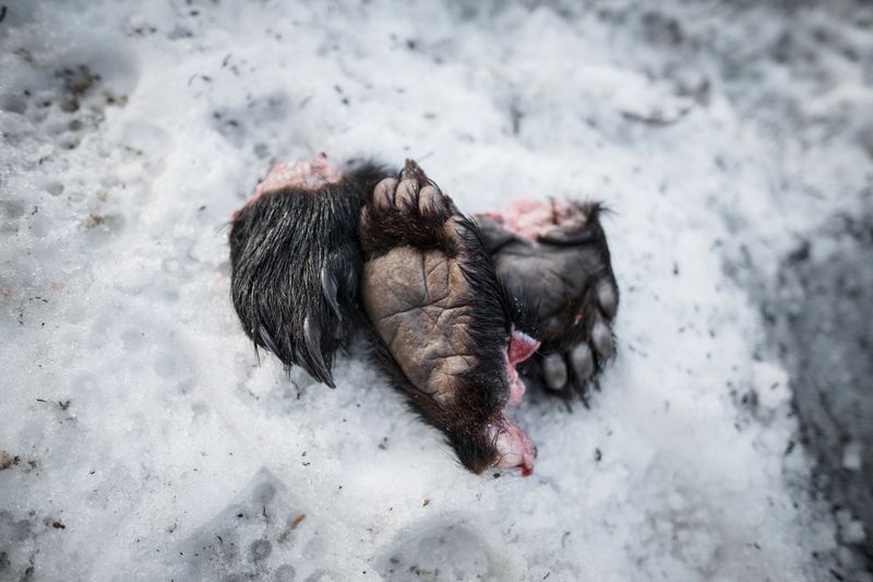 © Javier Corso - Image from the Matagi photography project