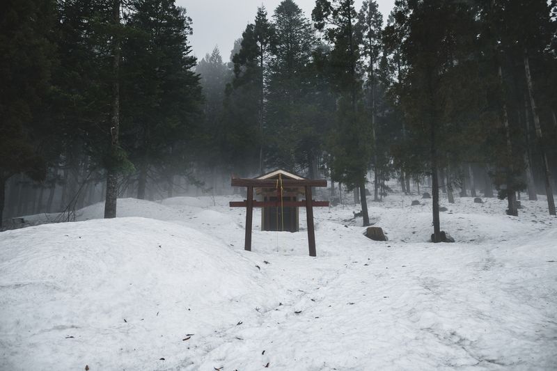 © Javier Corso - Image from the Matagi photography project