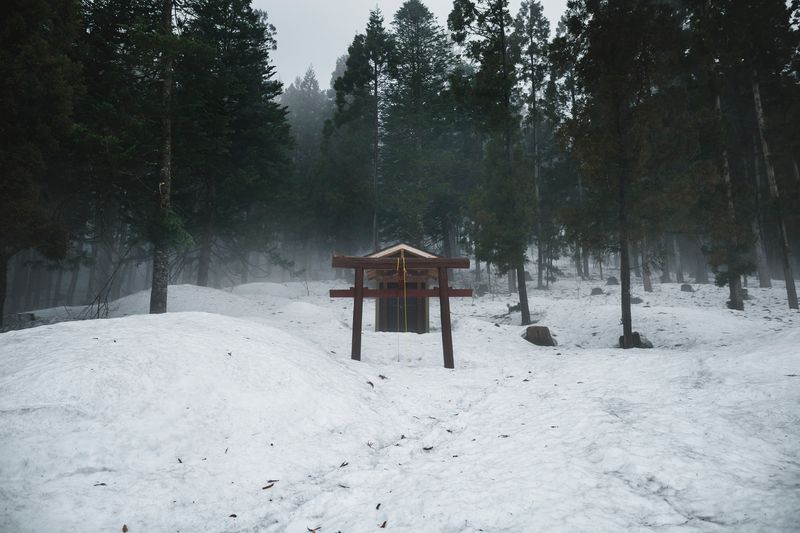 © Javier Corso - Image from the Matagi photography project