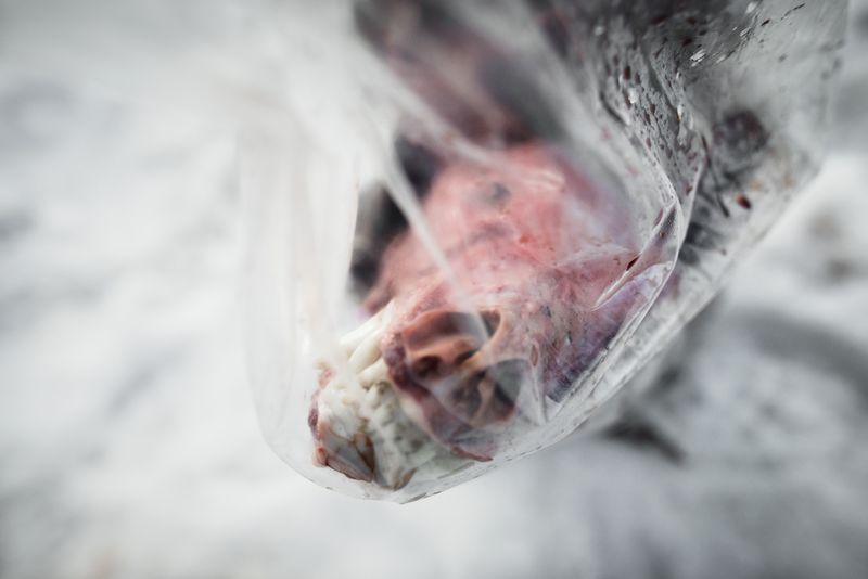 © Javier Corso - Image from the Matagi photography project