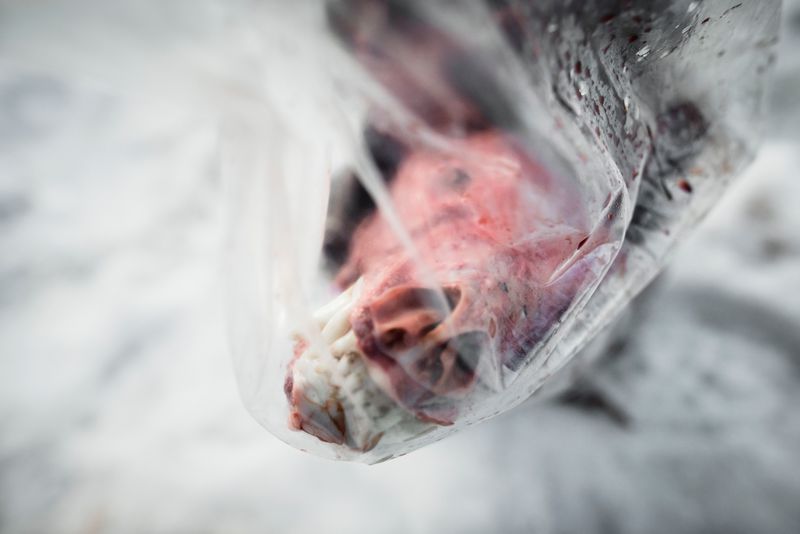 © Javier Corso - Image from the Matagi photography project