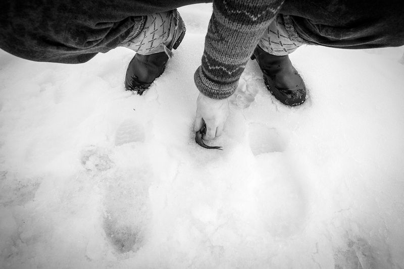 © Javier Corso - Image from the NORDEN photography project