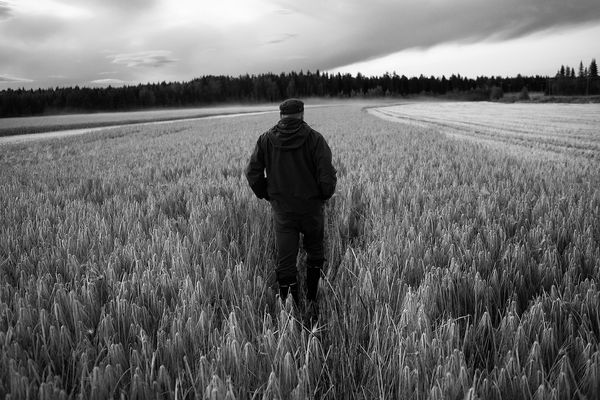 © Javier Corso - Image from the NORDEN photography project