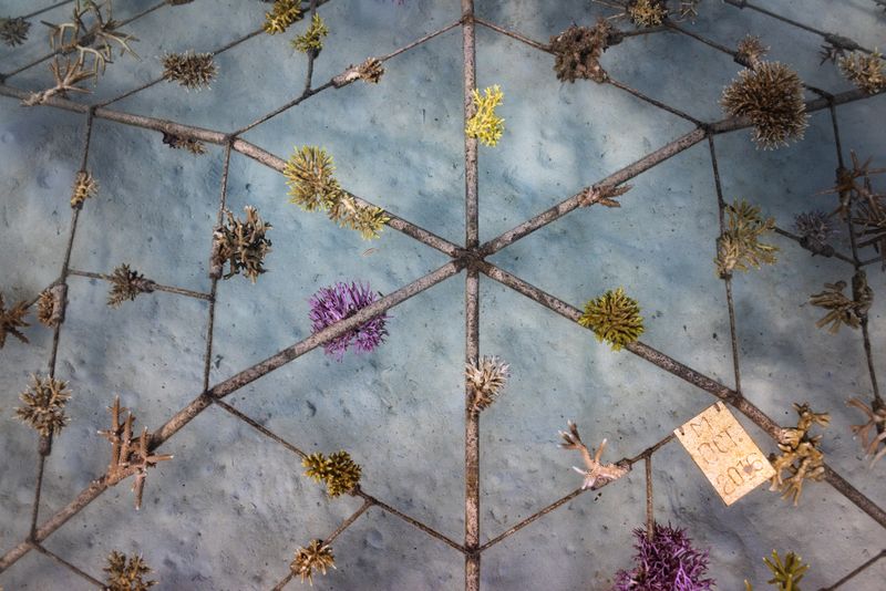 © Katherine Jack - Image from the Palawan Seas photography project