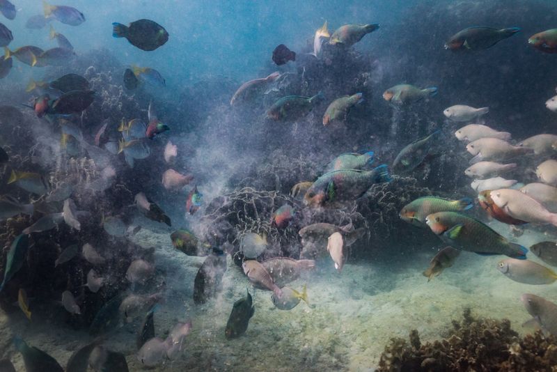 © Katherine Jack - Image from the Palawan Seas photography project