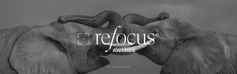 reFocus Awards 2024 Black & White Photo Contest