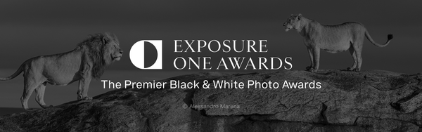 The Exposure One Awards 2025 Nature Photography Contest