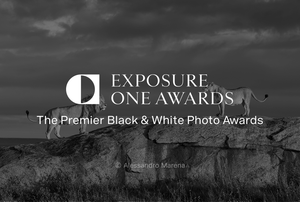 The Exposure One Awards 2025 Nature Photography Contest