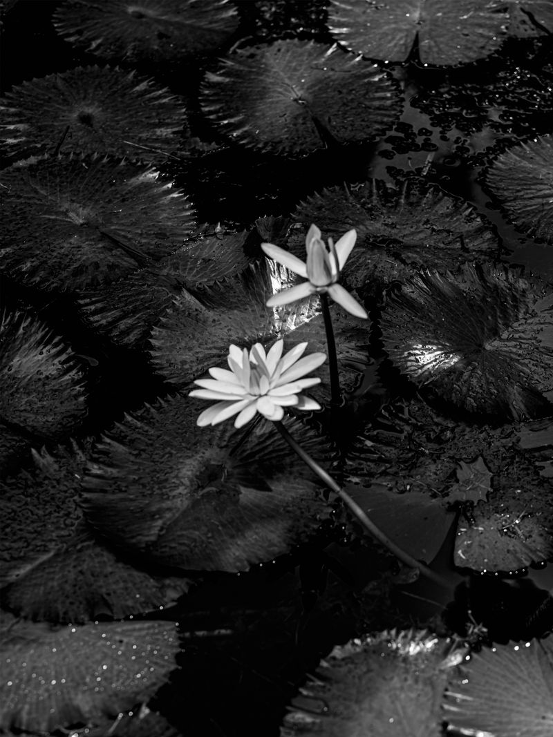 © Ruben van Schalm - Image from the Change - Life's constant state of movement. photography project