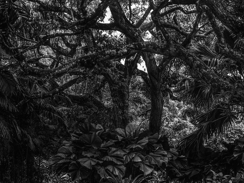 © Ruben van Schalm - Image from the Change - Life's constant state of movement. photography project