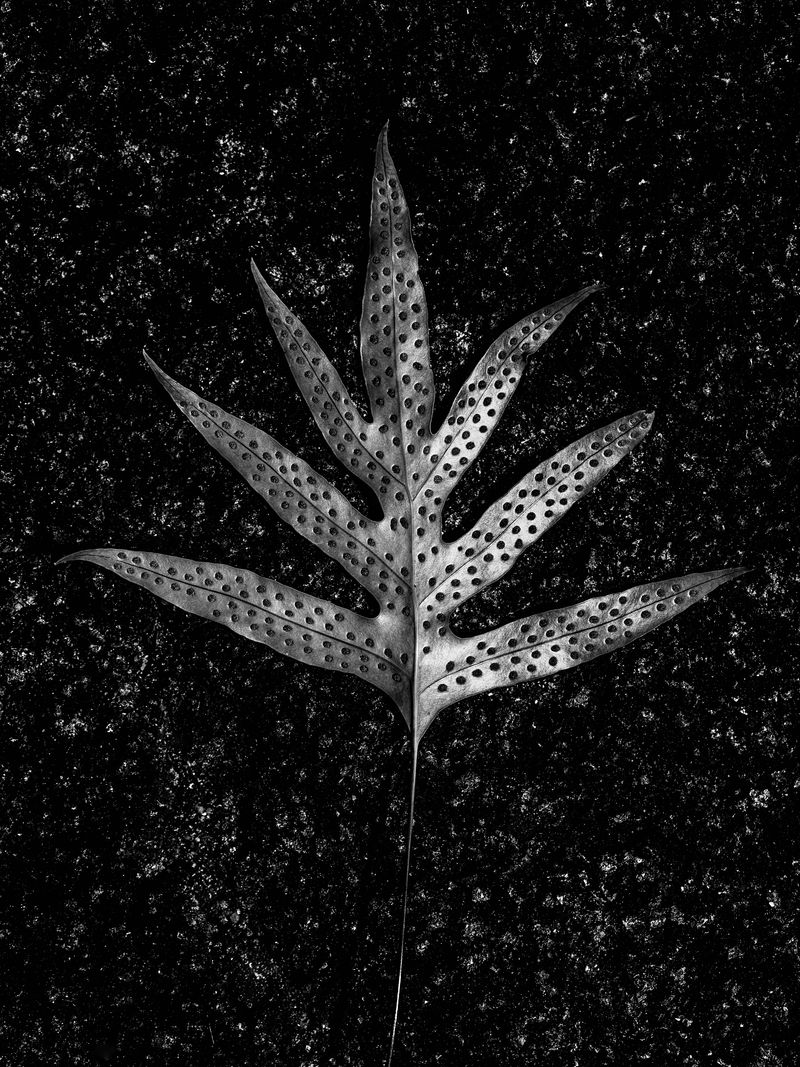 © Ruben van Schalm - Image from the Change - Life's constant state of movement. photography project