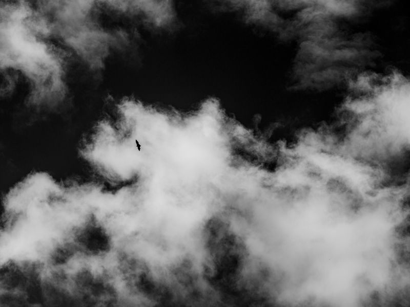 © Ruben van Schalm - Image from the Change - Life's constant state of movement. photography project