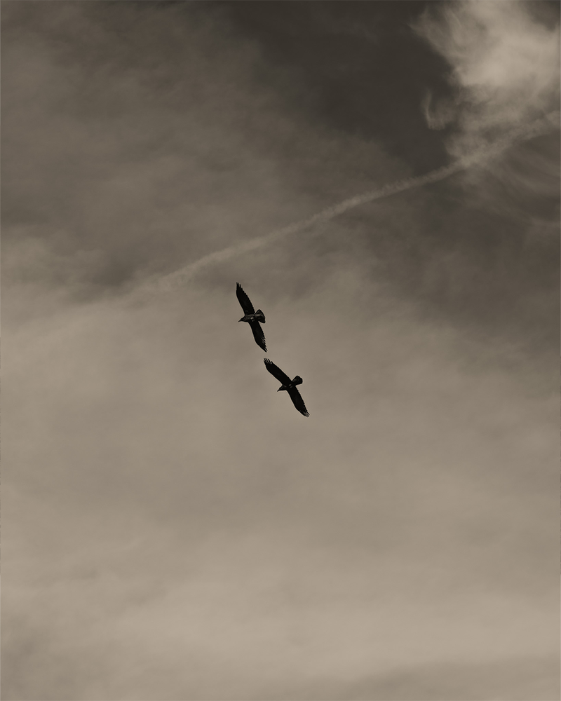 © Ruben van Schalm - Parallel Dreams