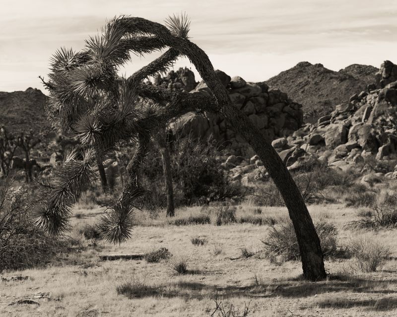 © Ruben van Schalm - Bending not Broken
