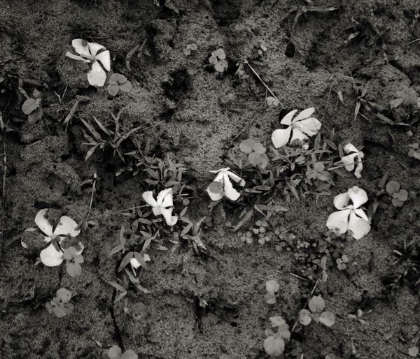 © Shahria Sharmin - Untitled
