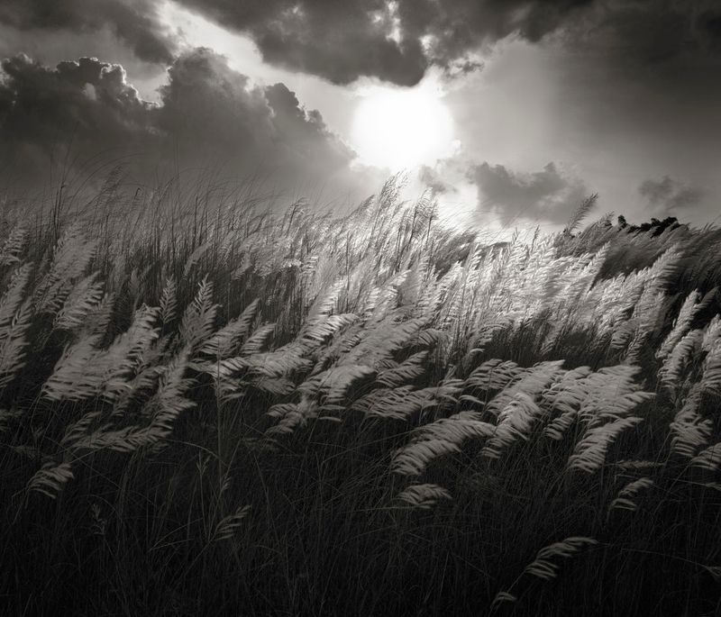 © Shahria Sharmin - Image from the Call me Heena photography project