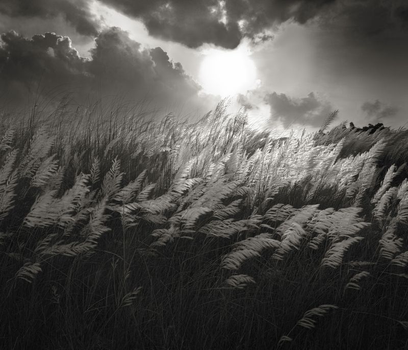 © Shahria Sharmin - Image from the Call me Heena photography project