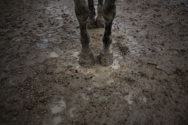 © Susana Giron - Image from the Spanish nomads photography project