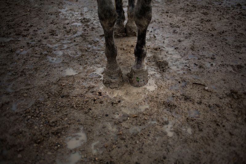 © Susana Giron - Image from the Spanish nomads photography project