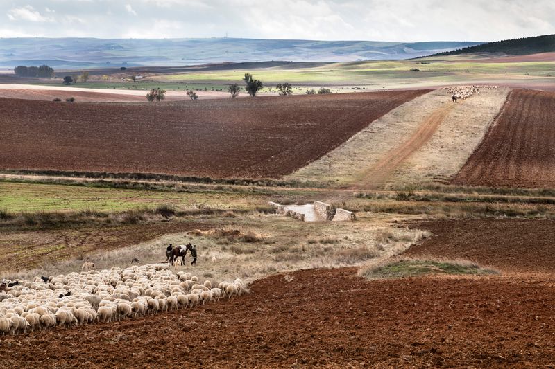 © Susana Giron - Image from the Spanish nomads photography project