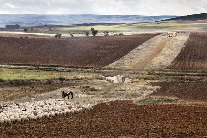 © Susana Giron - Image from the Spanish nomads photography project