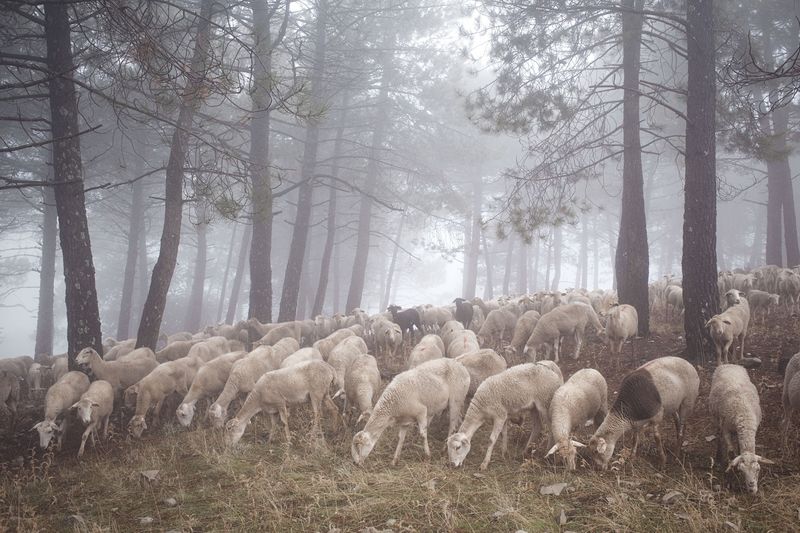 © Susana Giron - Image from the Spanish nomads photography project