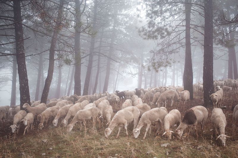 © Susana Giron - Image from the Spanish nomads photography project