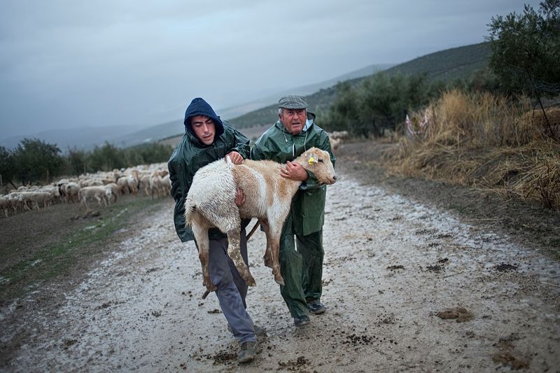 © Susana Giron - Image from the Spanish nomads photography project