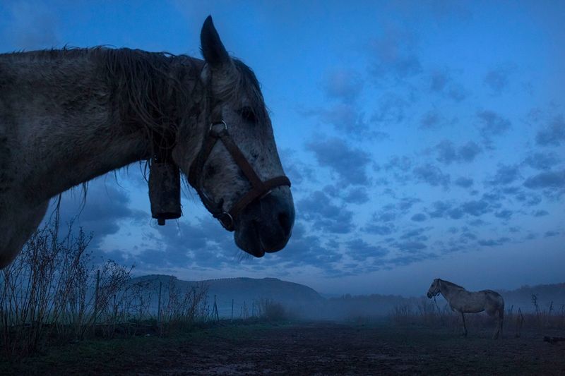 © Susana Giron - Image from the Spanish nomads photography project