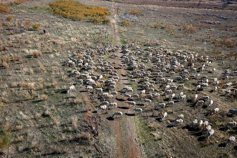 © Susana Giron - Image from the Spanish nomads photography project