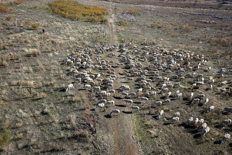 © Susana Giron - Image from the Spanish nomads photography project