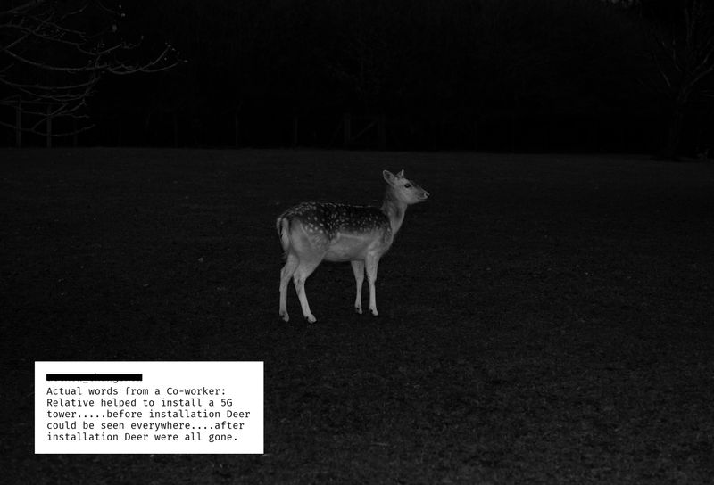 © Esther Gabrielle Kersley - Image from the The Fifth Generation photography project