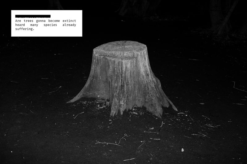 © Esther Gabrielle Kersley - Image from the The Fifth Generation photography project