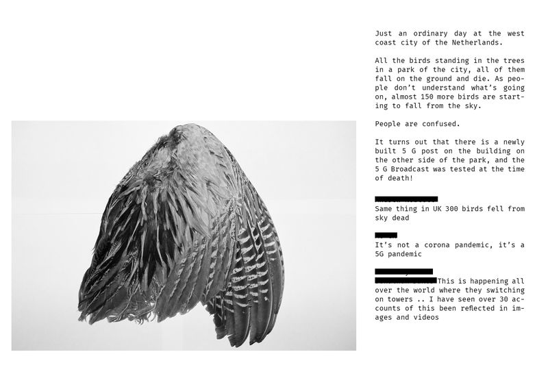 © Esther Gabrielle Kersley - Image from the The Fifth Generation photography project