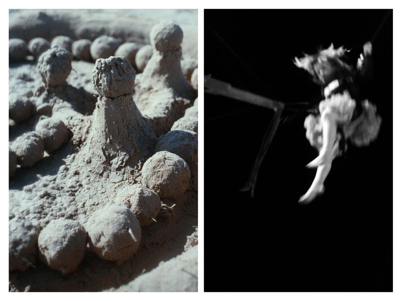 © Laura Fernandez - Image from the Ariadna's Thread photography project
