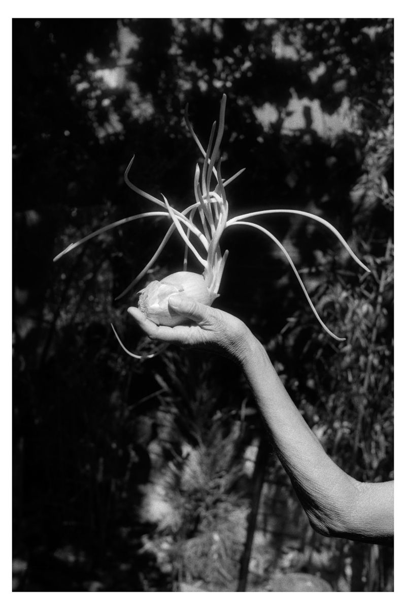 © Laura Fernandez - Image from the Ariadna's Thread photography project