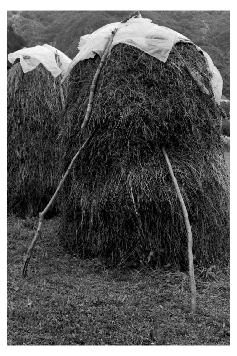 © Laura Fernandez - Image from the Ariadna's Thread photography project