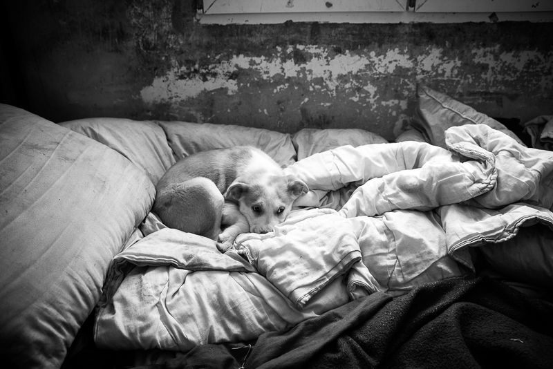 © Jana Plavec - Goro.