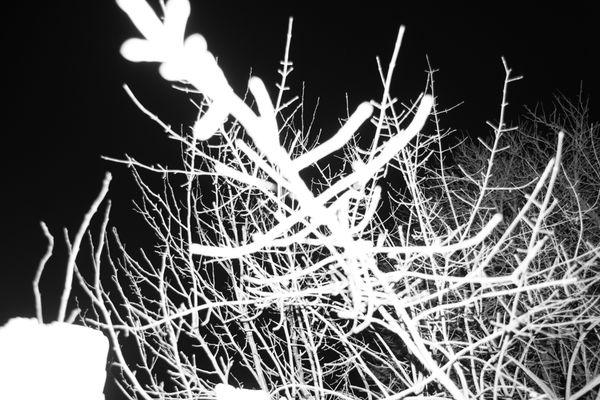 © Jana Plavec - Image from the Daymare photography project