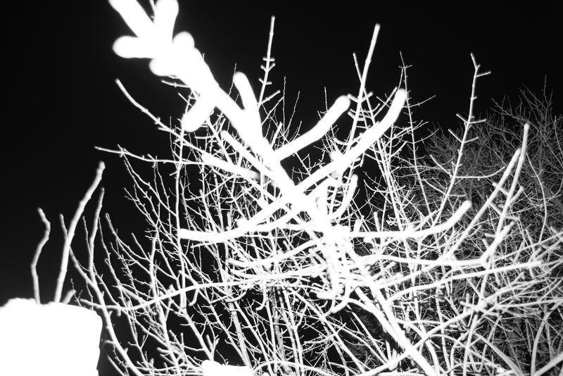 © Jana Plavec - Image from the Daymare photography project