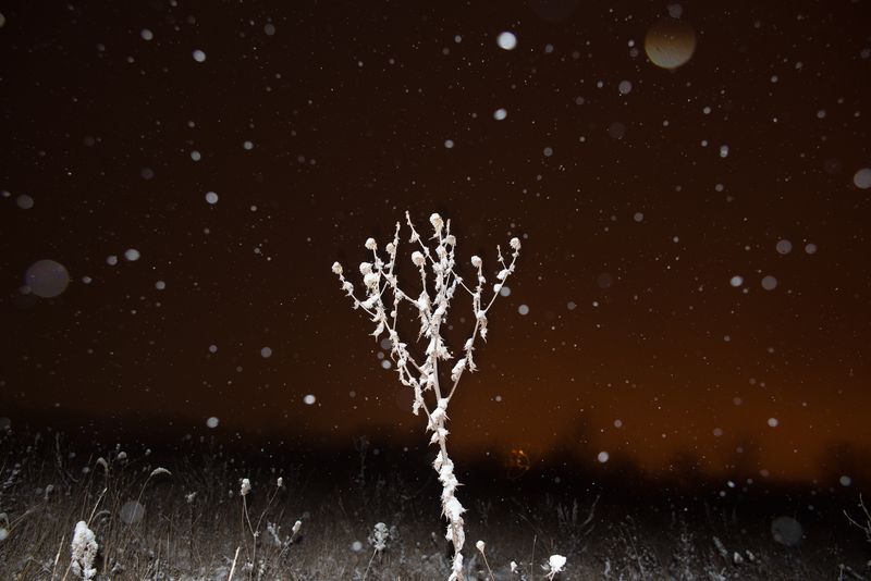 © Jana Plavec - Image from the Daymare photography project