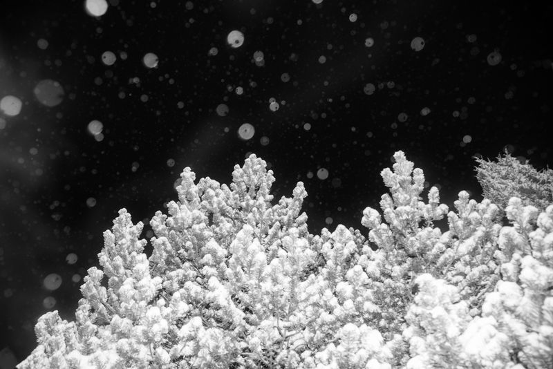 © Jana Plavec - Image from the Daymare photography project