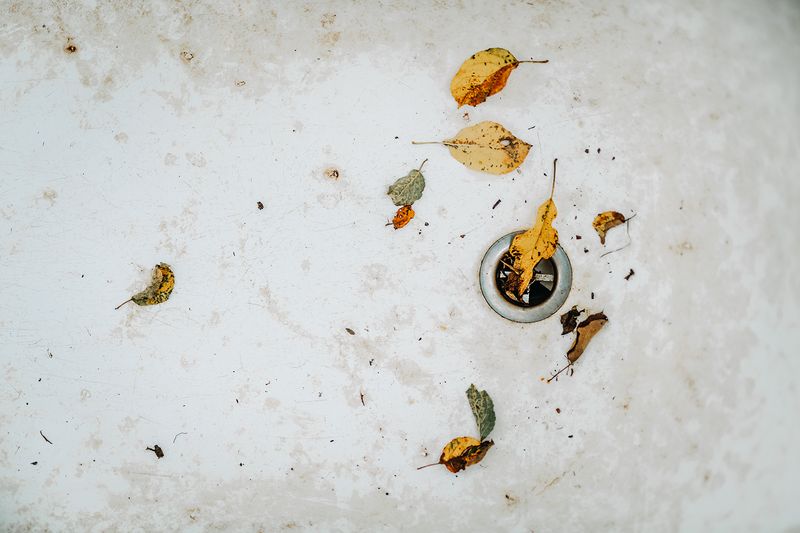 © Jana Plavec - Image from the Garden with Fallen Apples photography project