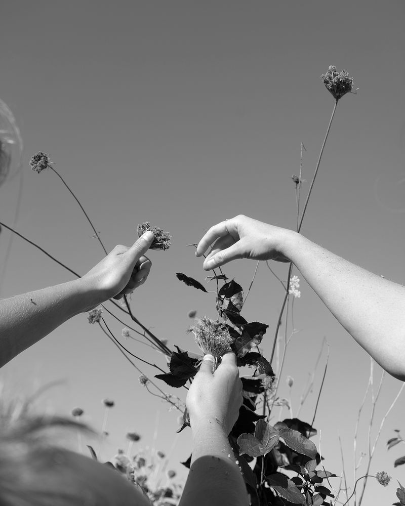 © Jillian Freyer - Queen Ann, 2020